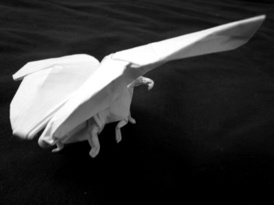 Origami_Gallery/Old/Butterfly_1.jpg