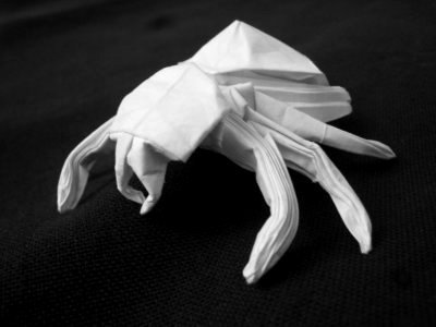 Origami_Gallery/Old/Spider_1.jpg