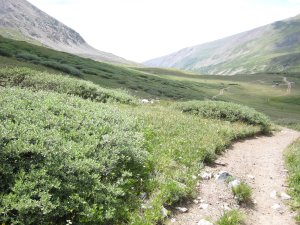 Photos/300x225//IMG_2020.300.JPG