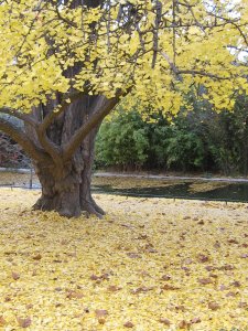 Photos/300x225/img_0424.300.jpg