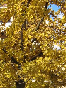 Photos/300x225/img_0444.300.jpg