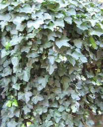 Photos/300x225/img_0459.300.jpg