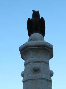 Photos/300x225/img_0489.300.jpg