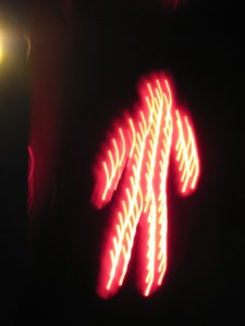 Photos/300x225/img_1601.300.jpg