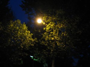 Photos/300x225/img_1676.300.jpg