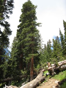 Photos/300x225/img_1826.300.jpg