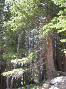Photos/300x225/img_1830.300.jpg
