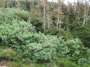 Photos/300x225/img_1850.300.jpg