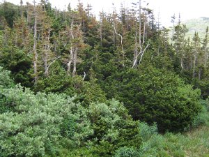Photos/300x225/img_1851.300.jpg