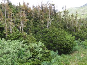 Photos/300x225/img_1852.300.jpg