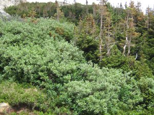 Photos/300x225/img_1853.300.jpg